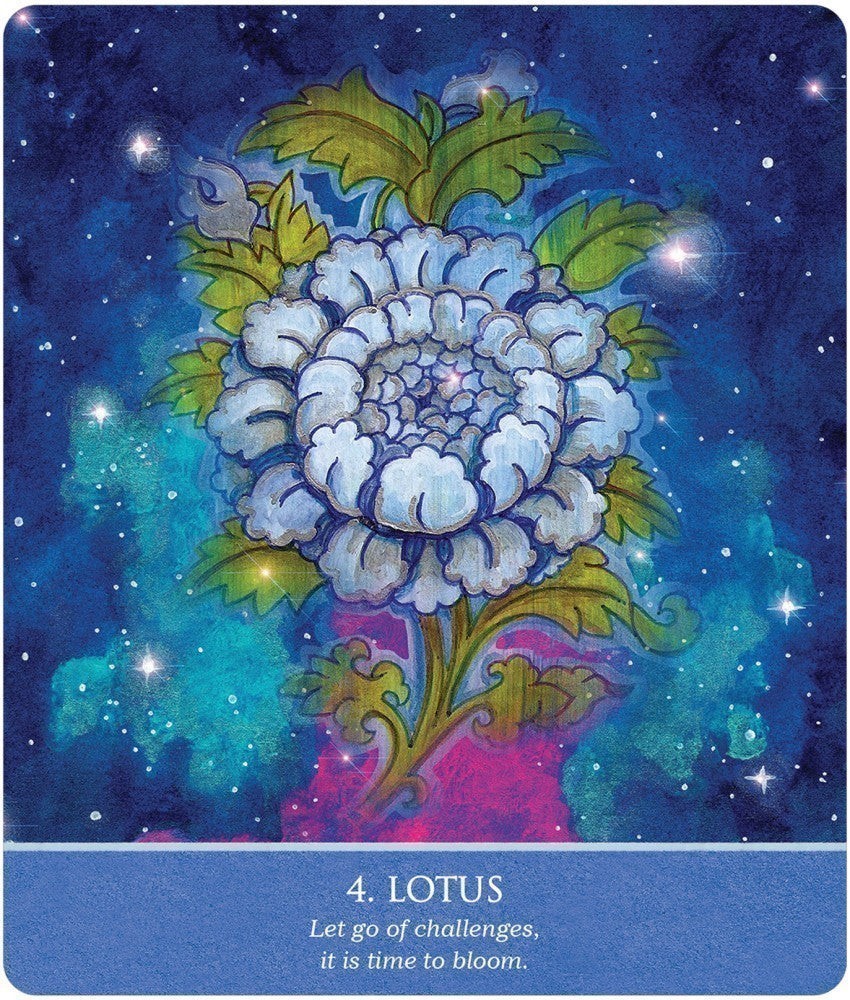 Card 4; Lotus