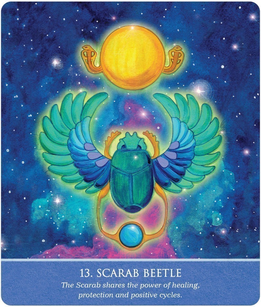 Card 13; Scarab Beetle