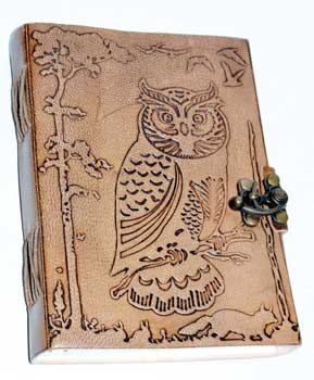owl in jungle journal