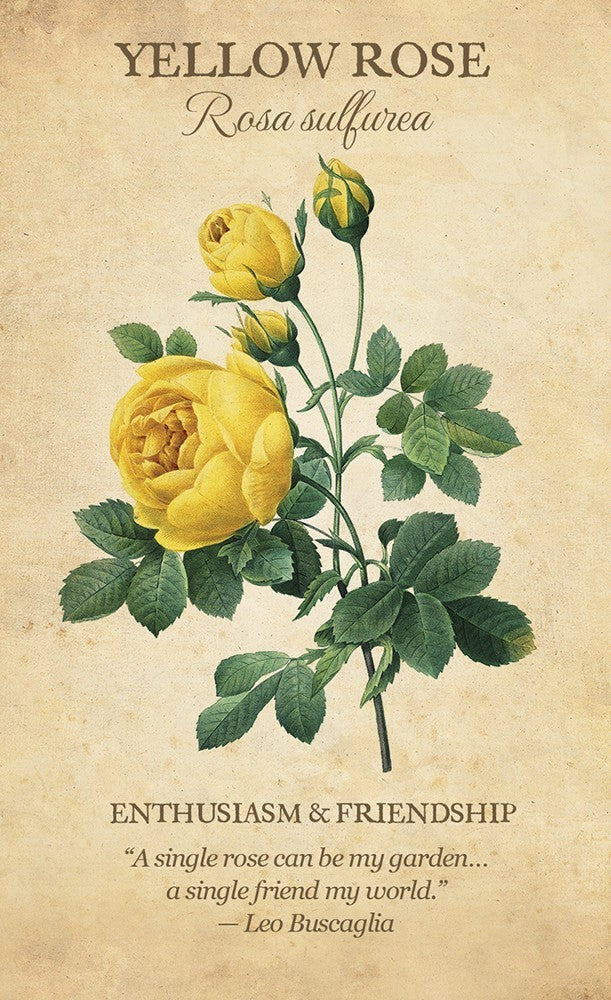 Yellow Rose card