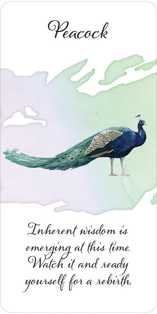 Peacock description card