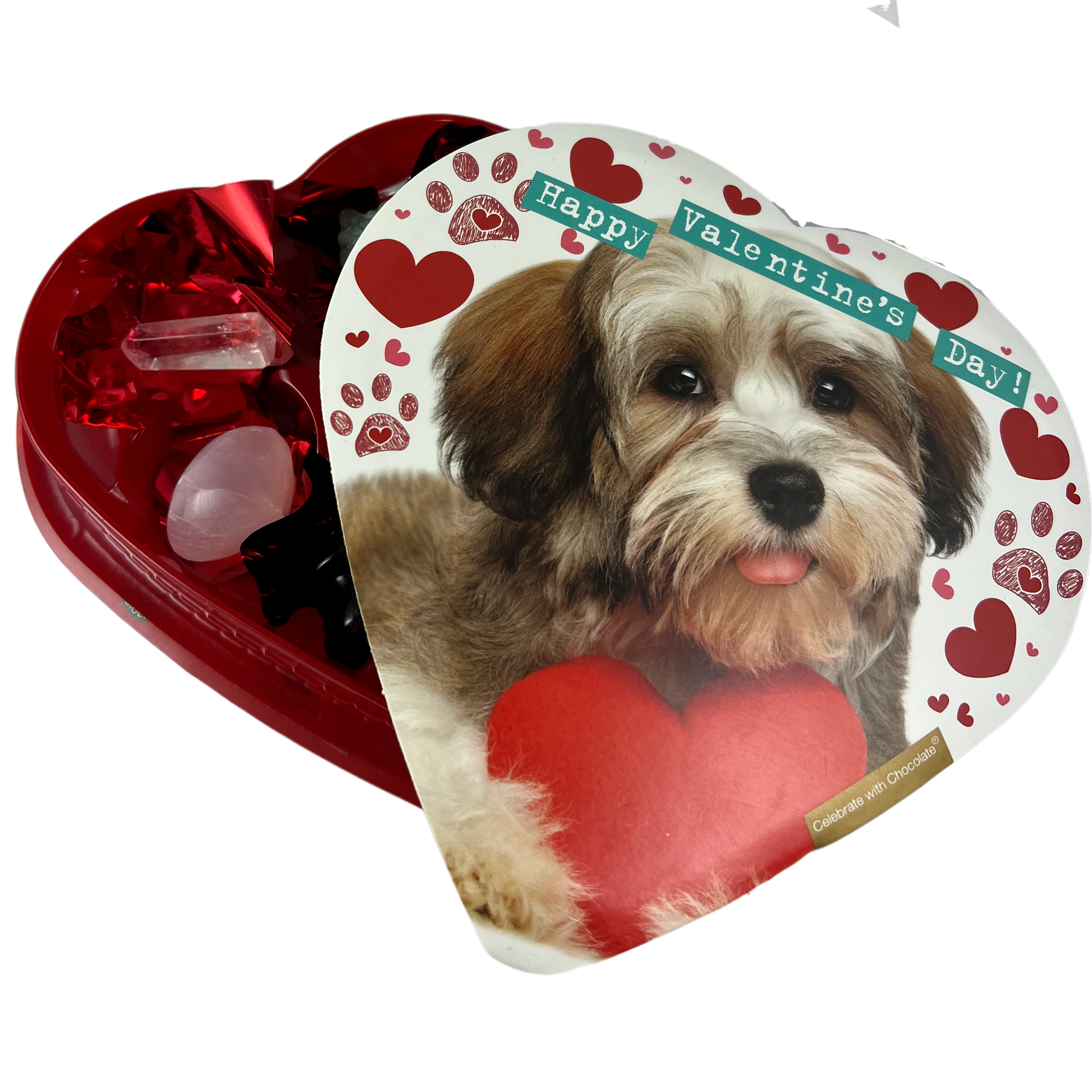 Dog 1 complete heart package