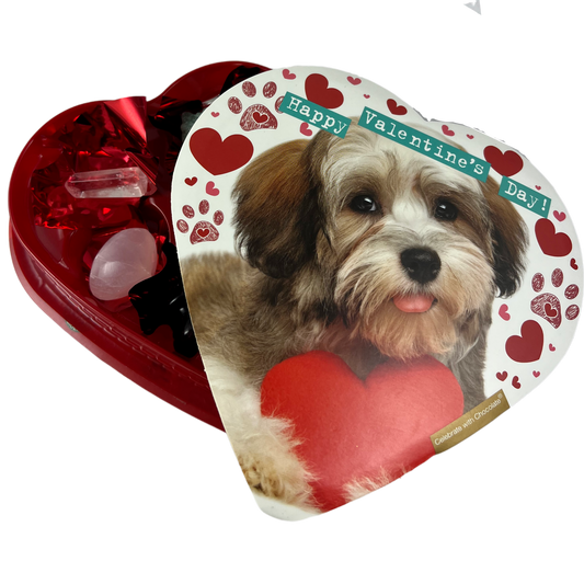 Dog 1 complete heart package