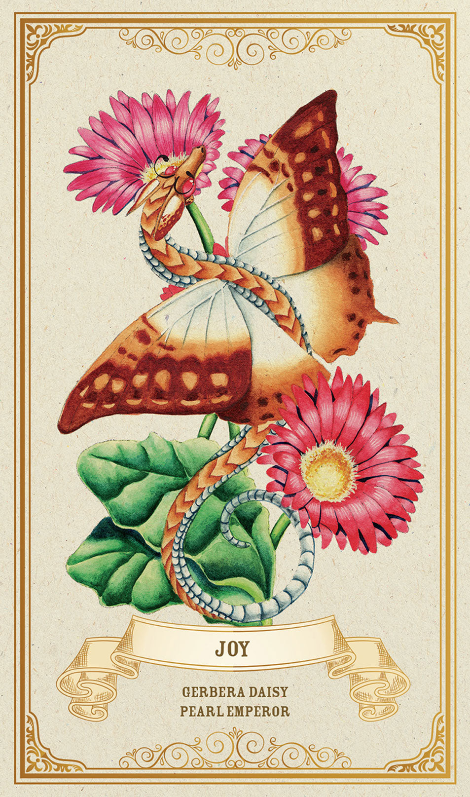 Joy (Gerbera Daisy, Pearl Emperor) card