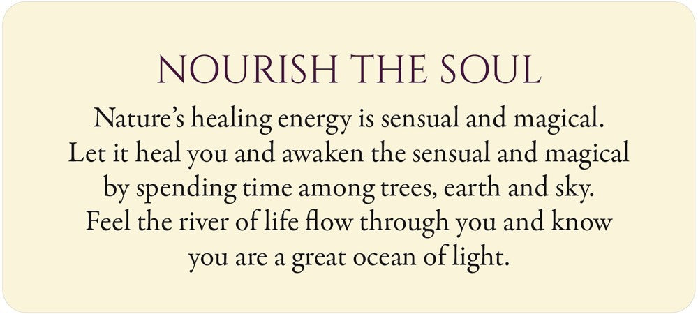 nourish the soul card
