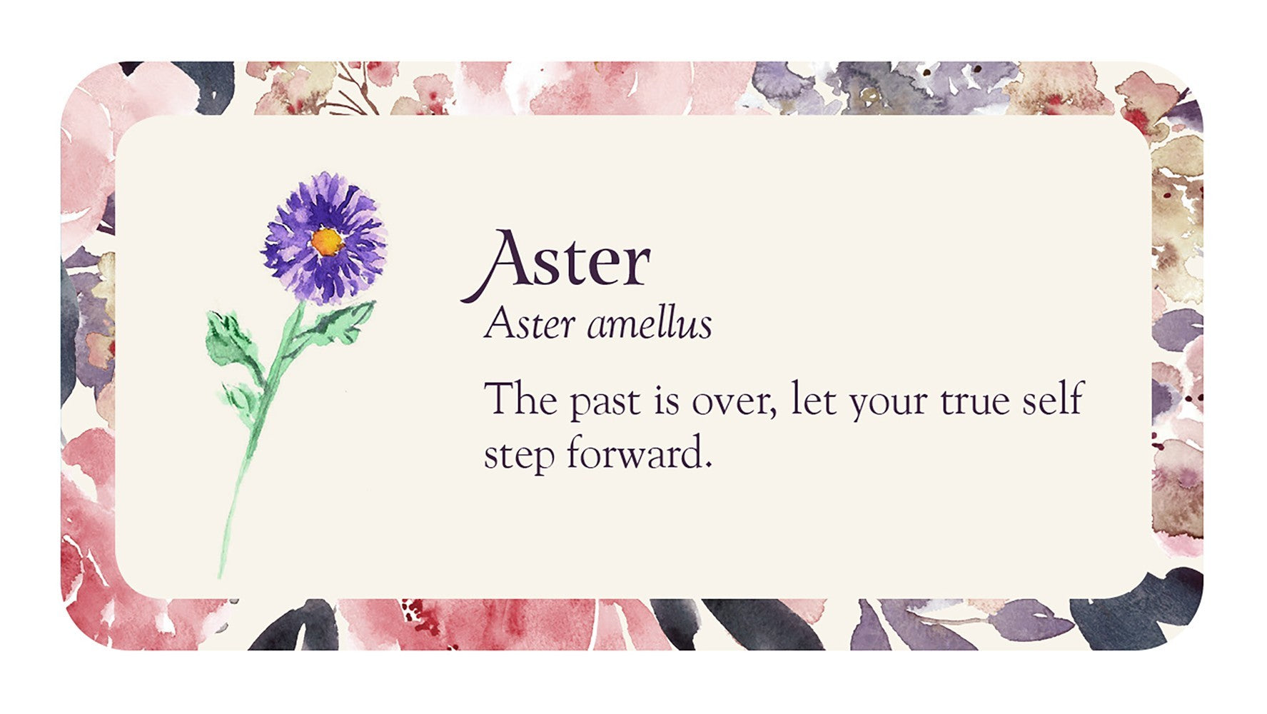 aster card