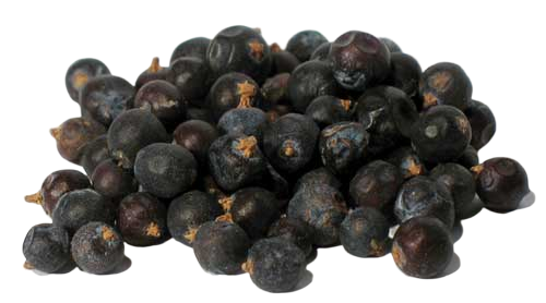 juniper berries 1oz