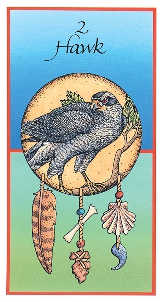 hawk card