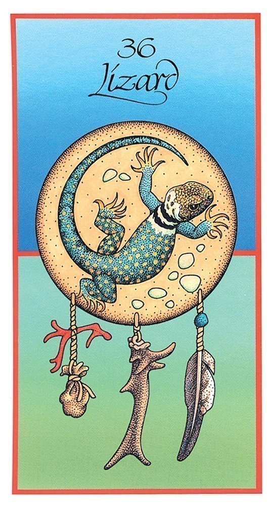lizard card
