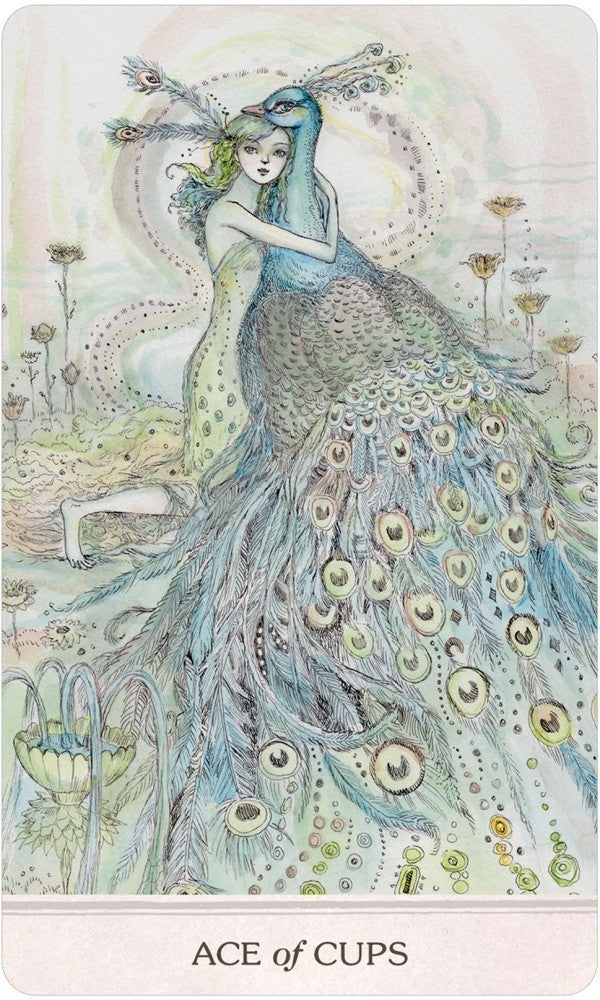 ace of cups card