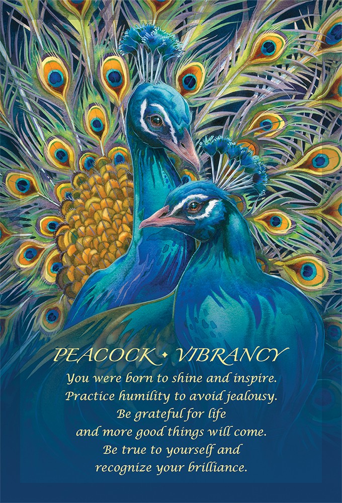 peacock vibrancy card