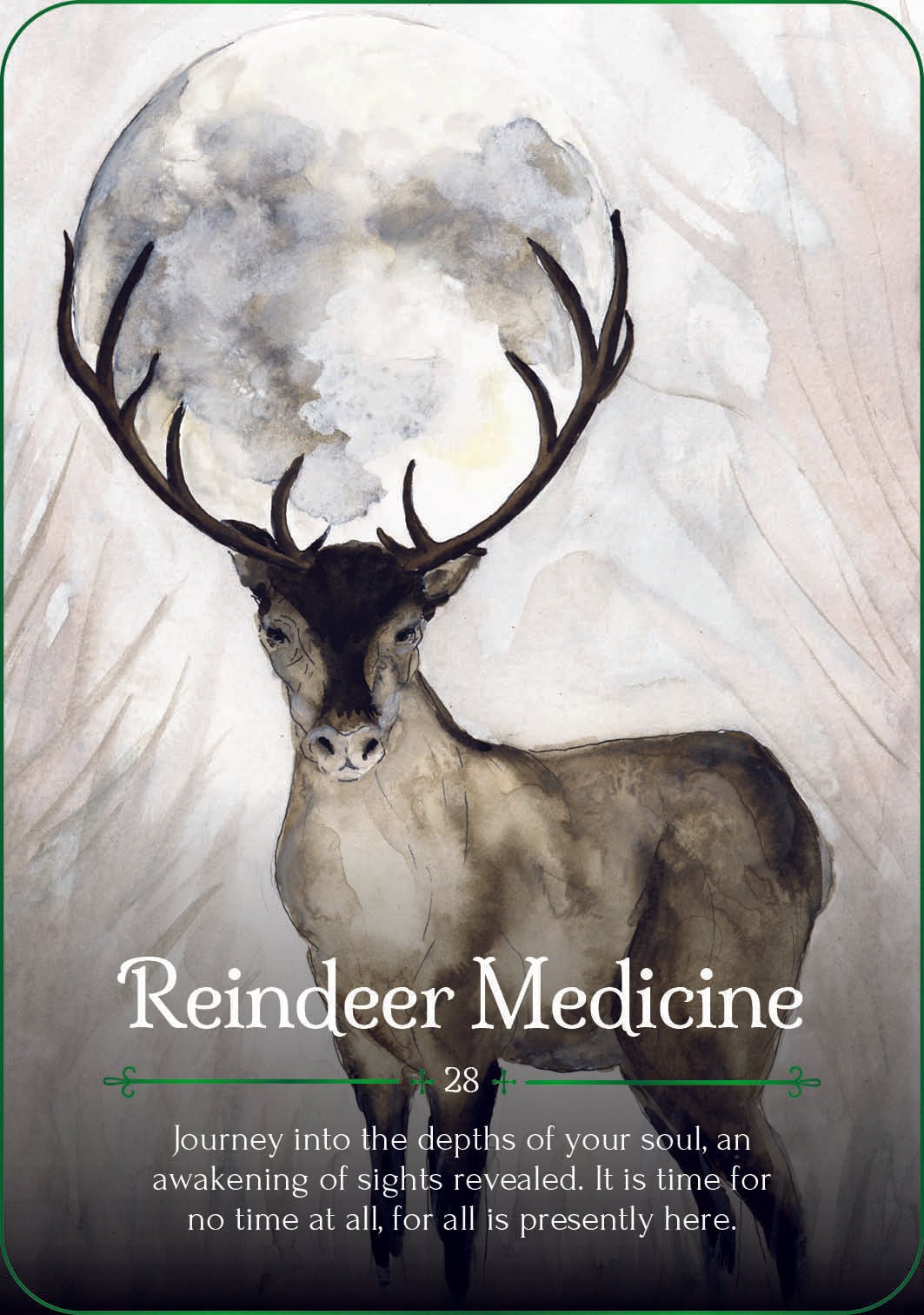 reindeer medicine card