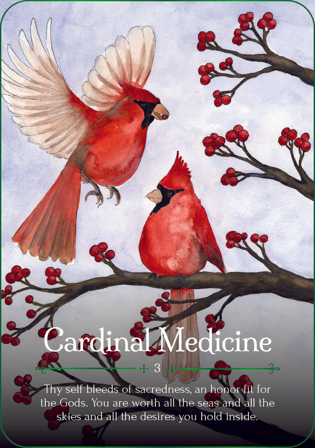 cardinal medicine card