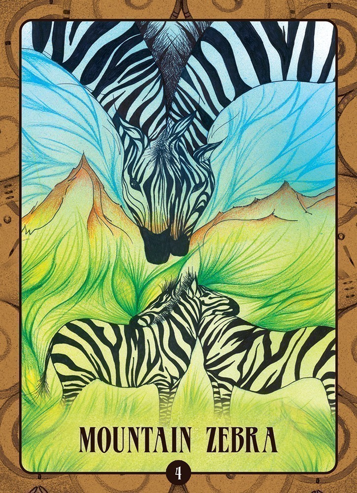 mountain zebra card
