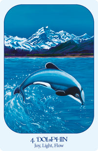 dolphin card