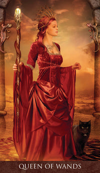 queen of wands card