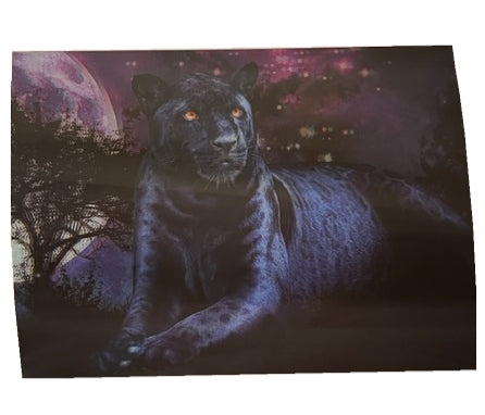 A black panther lays in front of a mystical background.