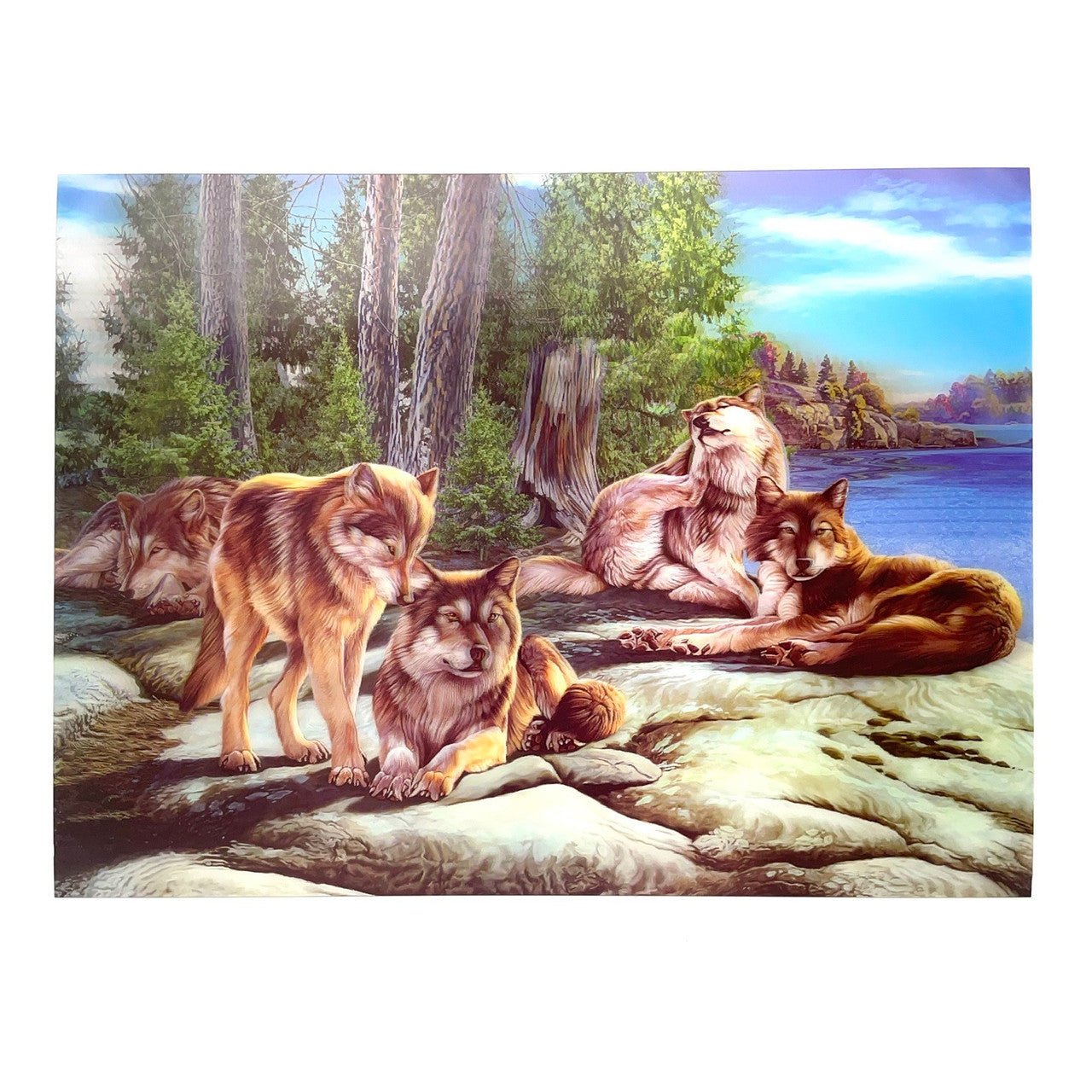 Five wolves bask on some rocks by a creek surrounded by trees and foliage.
