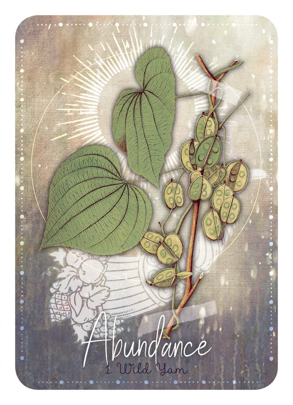 abundance card