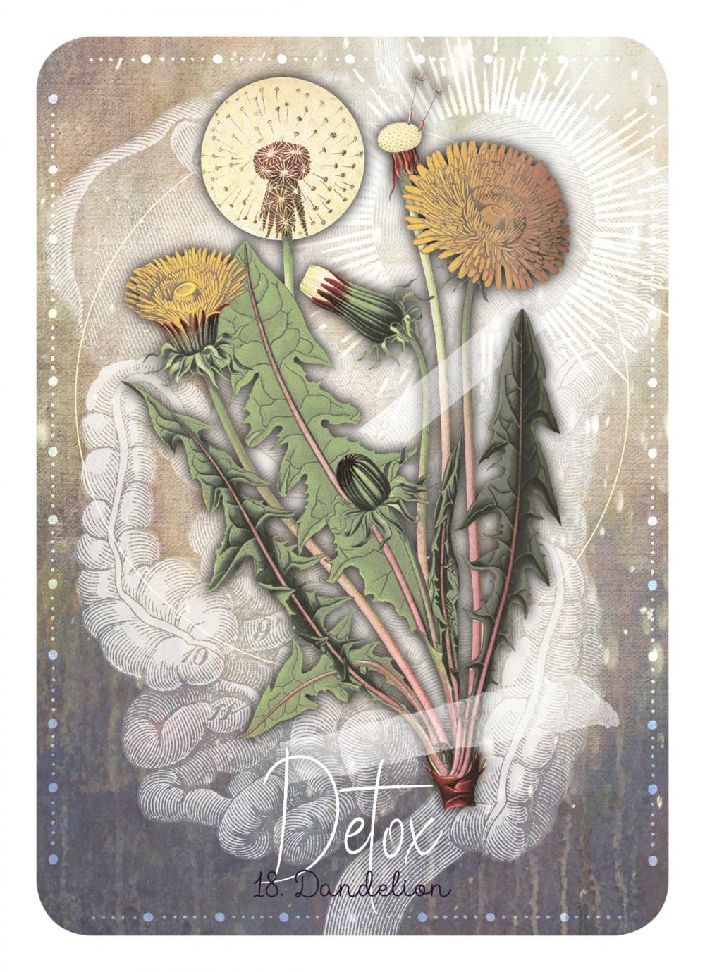 detox card