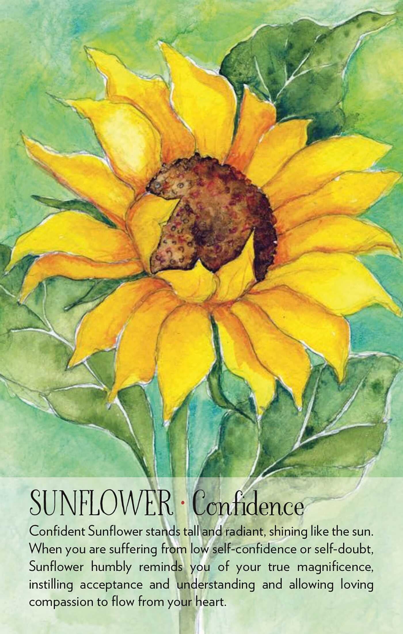 sunflower: confidence card