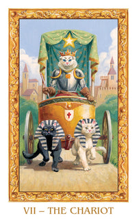 the chariot card