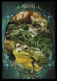 frog card