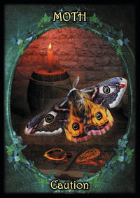 moth card