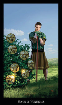 7 of pentacles card